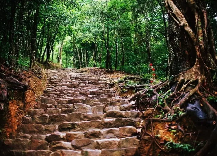 5 Địa điểm trekking đầu Xuân cực đã ở Việt Nam - Kỳ 1 5 Địa Điểm Trekking Đầu Xuân Cực Đã Ở Việt Nam Kỳ 1