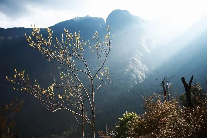5 Địa điểm trekking đầu Xuân cực đã ở Việt Nam - Kỳ 1 5 Địa Điểm Trekking Đầu Xuân Cực Đã Ở Việt Nam Kỳ 1