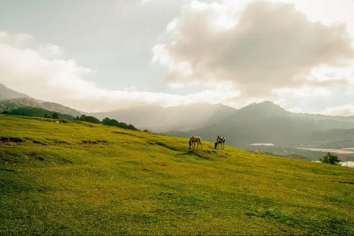 5 Địa điểm trekking đầu Xuân cực đã ở Việt Nam Kỳ 2