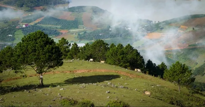5 Địa điểm trekking đầu Xuân cực đã ở Việt Nam Kỳ 2