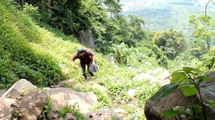 Leo núi Bà Đen