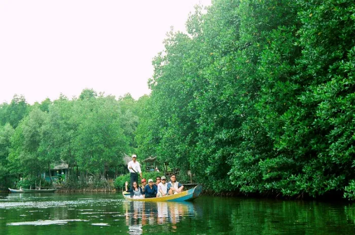 Ngắm nhìn rừng đước ngập mặn ở Cần Giờ