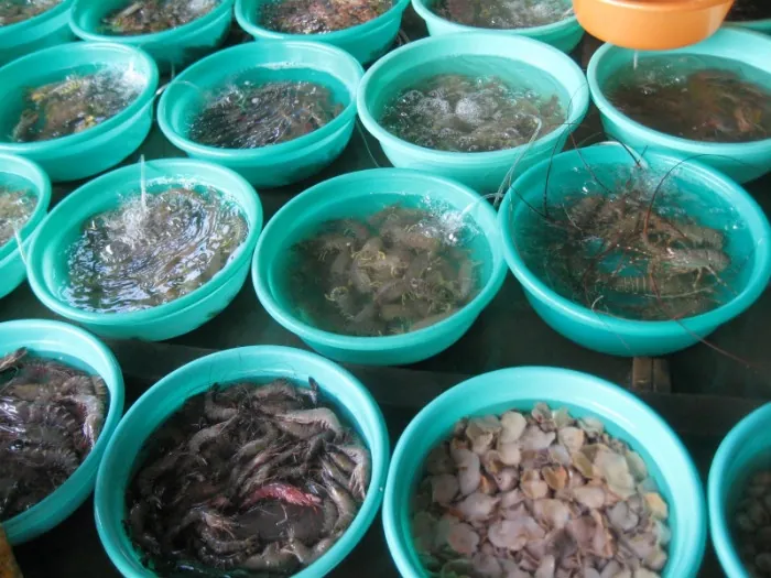 Tôm tươi Cần Giờ