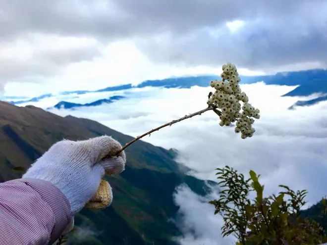 Hành trình gian nan chinh phục đỉnh Tà Chì Nhù
