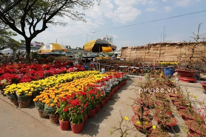Bến Bình Đông tưng bừng chợ hoa những ngày giáp Tết
