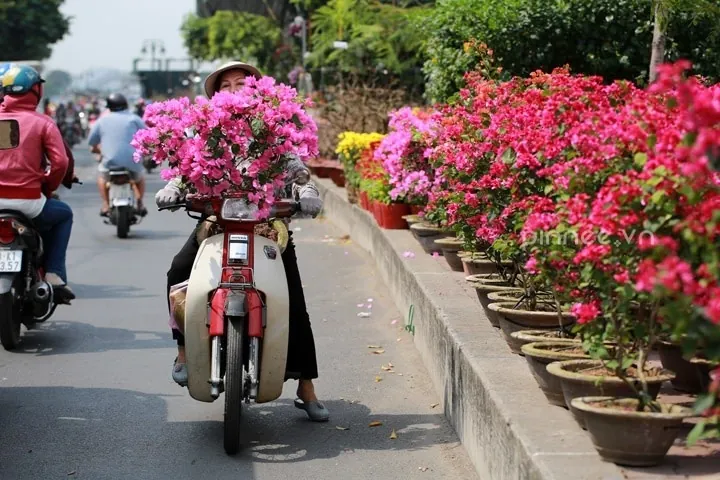 Bến Bình Đông tưng bừng chợ hoa những ngày giáp Tết