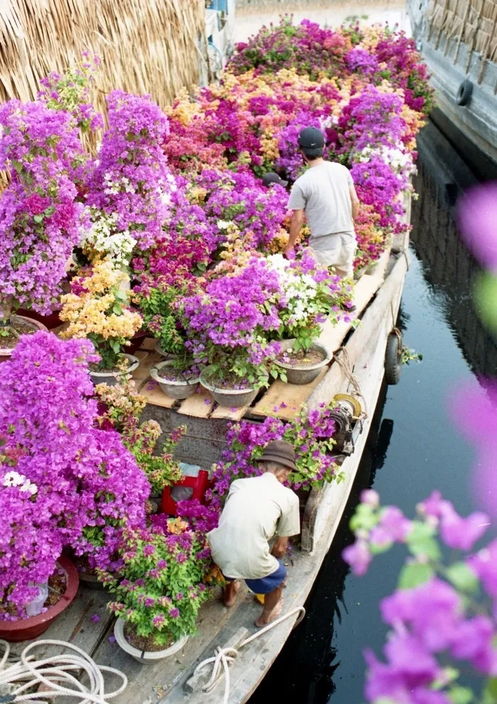 Bến Bình Đông tưng bừng chợ hoa những ngày giáp Tết