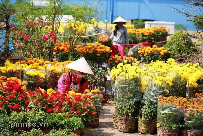 Bến Bình Đông tưng bừng chợ hoa những ngày giáp Tết