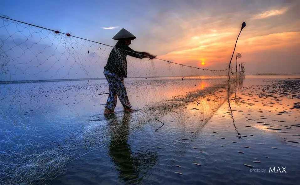 Bình dị những mảng màu thường nhật ở đồng bằng miền Nam