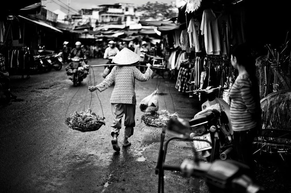 Bình dị những mảng màu thường nhật ở đồng bằng miền Nam