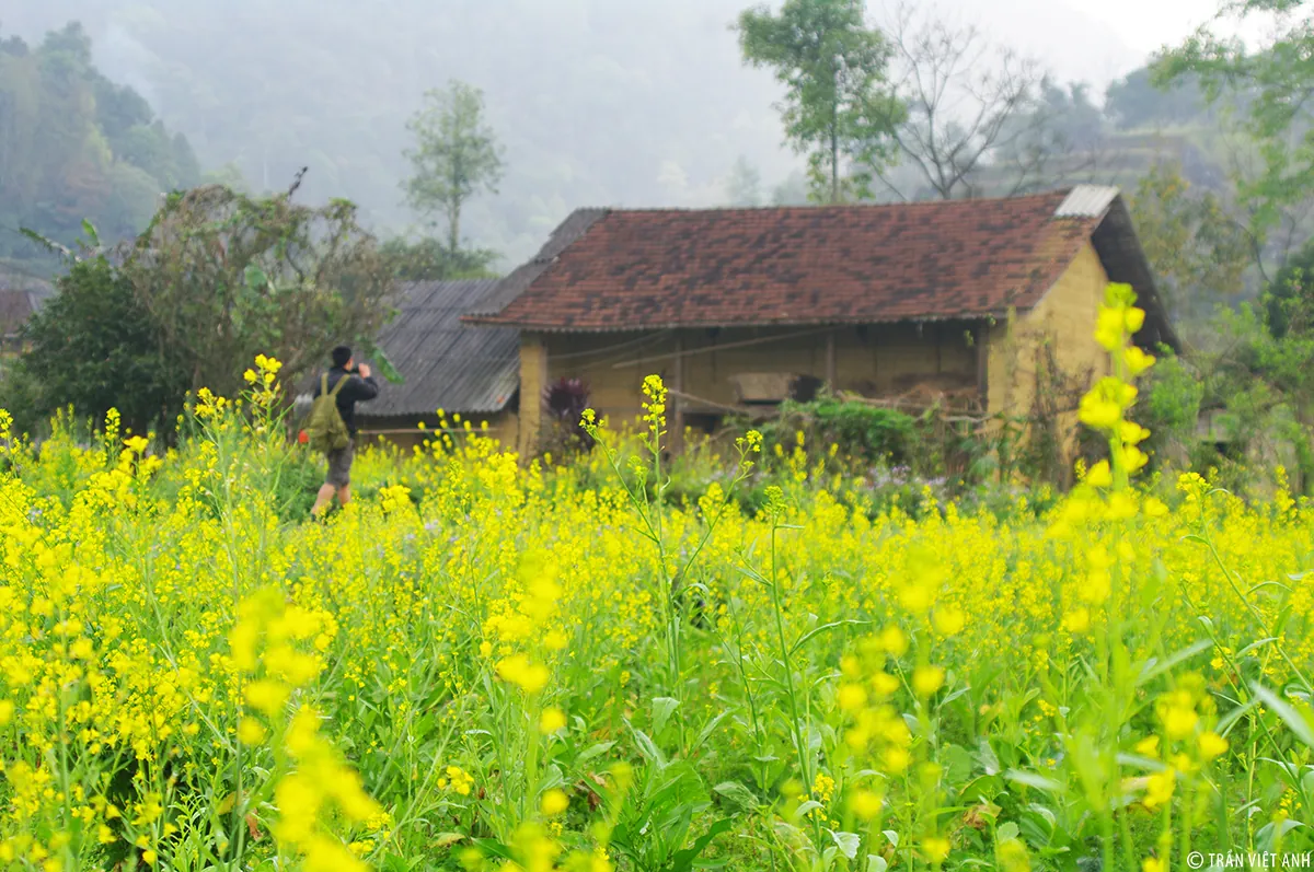 Bức tranh xuân ở Hà Giang Bức tranh xuân ở Hà Giang