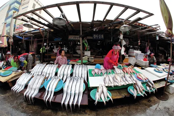 Busan - Hơi thở điện ảnh hóa nhịp sống hải cảng Busan nơi hơi thở điện ảnh hóa nhịp sống hải cảng