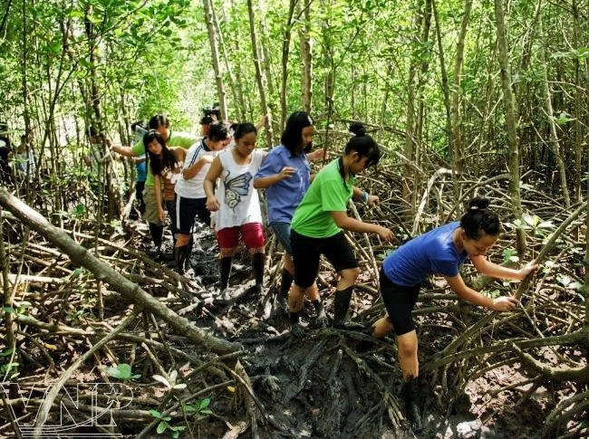 Cẩm nang du lịch TP Hồ Chí Minh Hồ Chí Minh