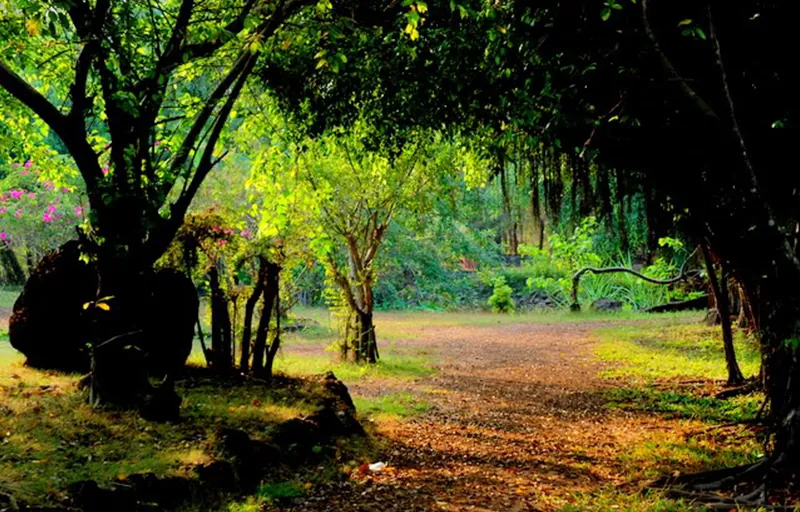 Cắm trại cách Sài Gòn hơn 40km với giá cực rẻ