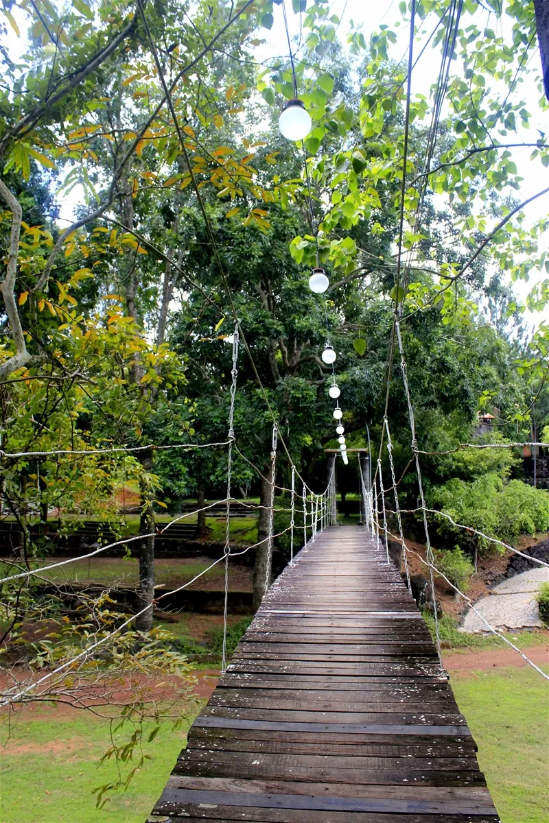 Cắm trại cách Sài Gòn hơn 40km với giá cực rẻ