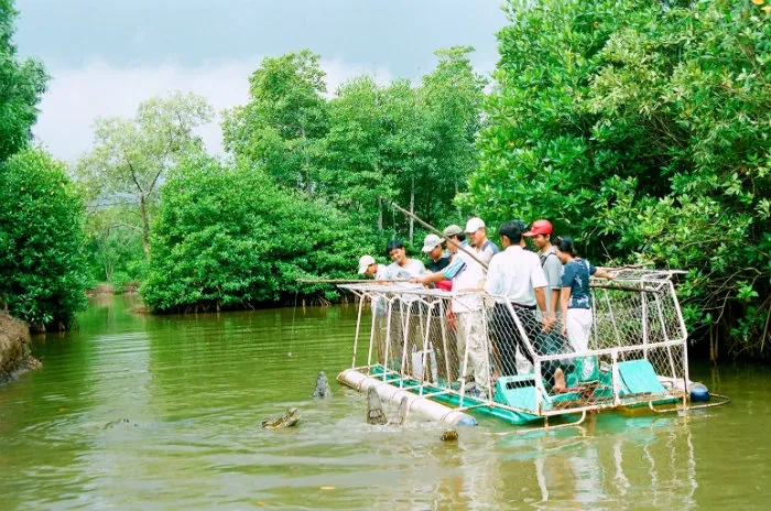 Cần Giờ có gì chơi những dịp xả stress cuối tuần ? Khu du lịch Vàm Sát - Câu cá Sấu là trò chơi dành cho người gan dạ