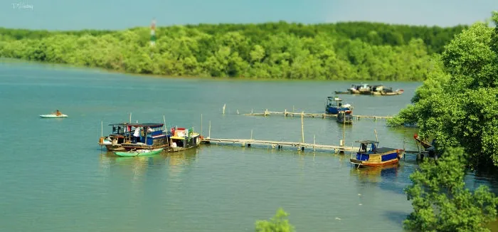 Cần Giờ lọt top những địa danh du lịch bền vững nhất thế giới Cần Giờ lọt top những địa danh du lịch bền vững nhất thế giới