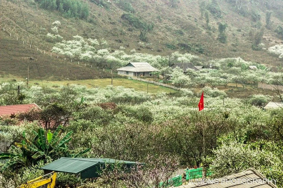 Cảnh đẹp mùa xuân trên những rẻo cao Tây Bắc Cảnh đẹp mùa xuân trên những rẻo cao Tây Bắc
