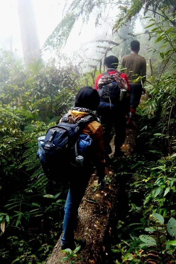 Chiêm ngưỡng vẻ đẹp sống khủng long núi Tà Xùa Chiêm ngưỡng vẻ đẹp sống khủng long núi Tà Xùa