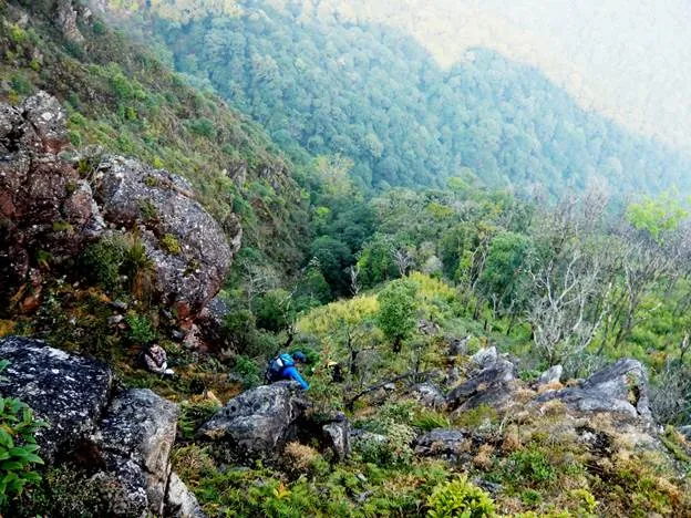 Chiêm ngưỡng vẻ đẹp sống khủng long núi Tà Xùa Chiêm ngưỡng vẻ đẹp sống khủng long núi Tà Xùa