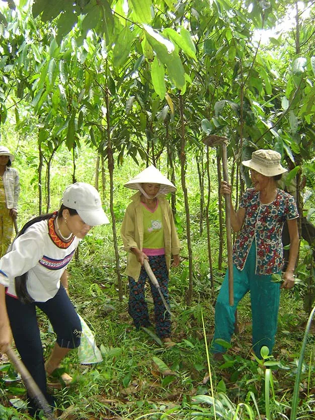 Chinh phục núi Cà Đam, đất của loài sâm bảy lá 