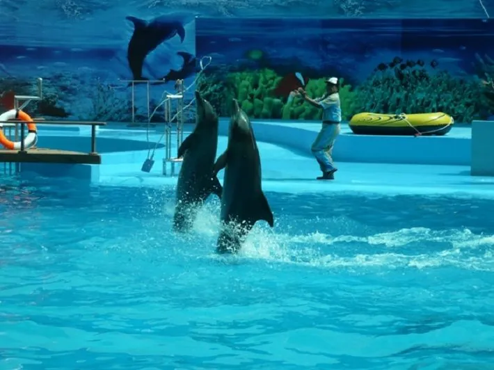 Chuyến dã ngoại ngày hè tại khu du lịch Suối Mơ Chuyến dã ngoại ngày hè tại khu du lịch Suối Mơ