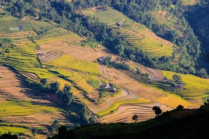 Có một Xín Mần làm mê hoặc bước chân phượt thủ