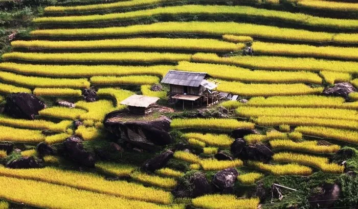Có một Xín Mần làm mê hoặc bước chân phượt thủ