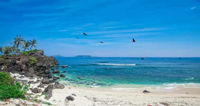 Đảo Bé thiên đường nhỏ của huyện đảo Lý Sơn