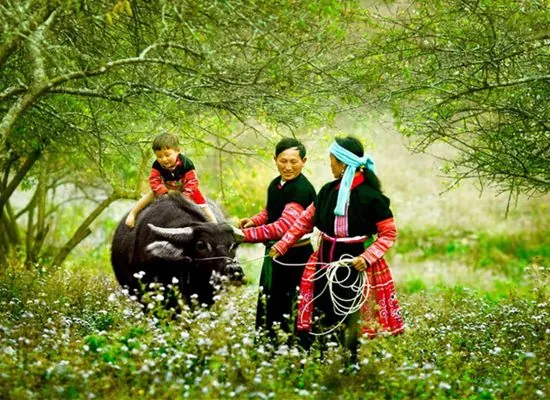 Điểm danh các địa điểm chơi Tết dương lịch