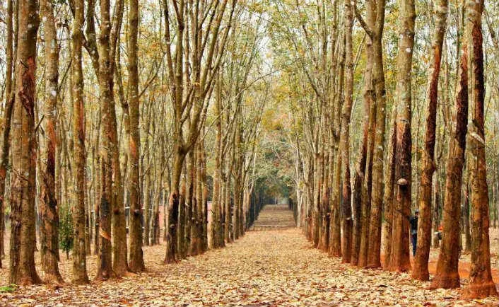 Điểm danh các địa điểm chơi Tết dương lịch