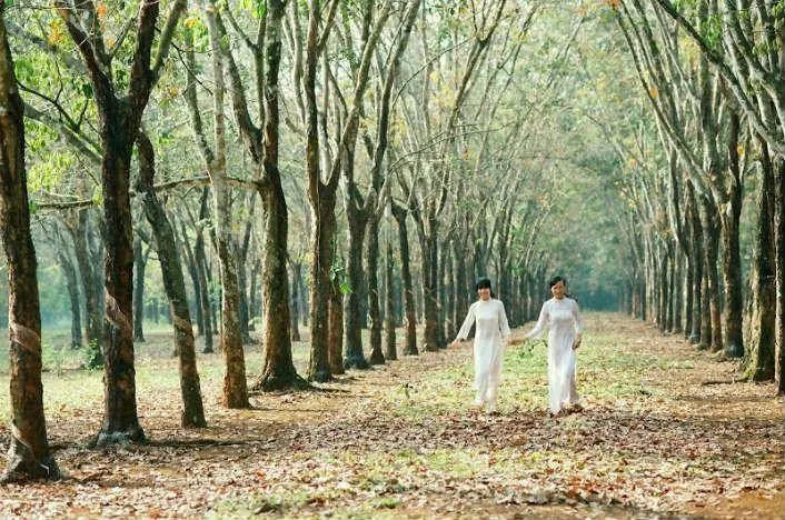 Điểm danh các địa điểm chơi Tết dương lịch