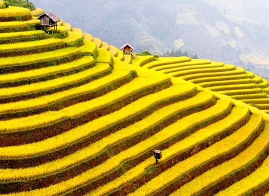 Điểm danh các địa điểm chơi Tết dương lịch