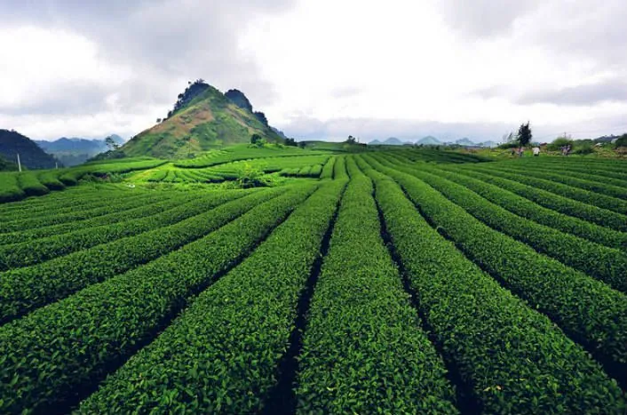 Điểm danh các địa điểm chơi Tết dương lịch