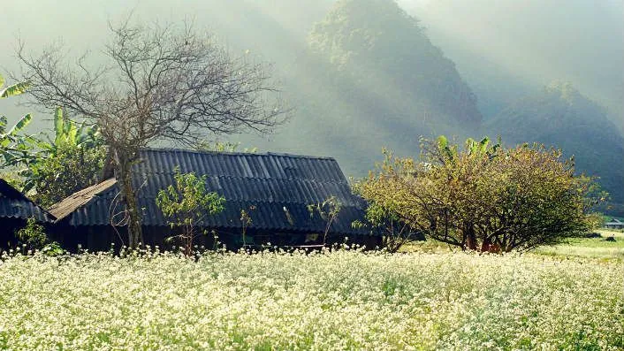 Điểm danh các địa điểm chơi Tết dương lịch