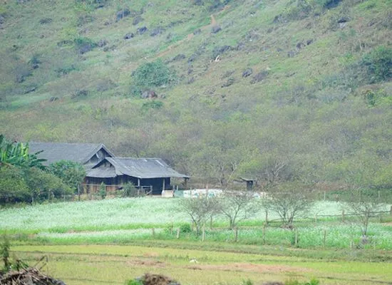 Điểm danh các địa điểm chơi Tết dương lịch