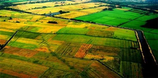 Du lịch Hậu Giang - Một Thoáng Bình Yên Hậu Giang Một Thoáng Bình Yên