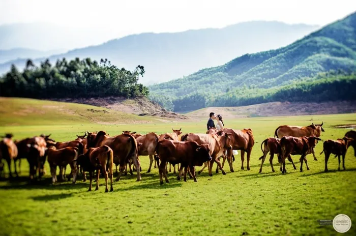 Hồ Nước Đẹp Tựa Cao Nguyên Tây Tạng Ở Đà Nẵng Hồ Nước Đẹp Tựa Cao Nguyên Tây Tạng Ở Đà Nẵng