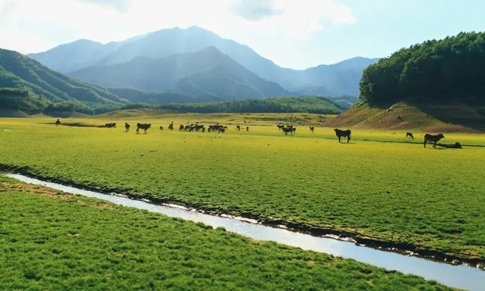 Hồ Nước Đẹp Tựa Cao Nguyên Tây Tạng Ở Đà Nẵng Hồ Nước Đẹp Tựa Cao Nguyên Tây Tạng Ở Đà Nẵng