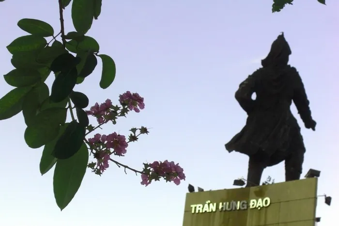 Hoa bằng lăng nhuộm tím góc trời Sài thành Hoa bằng lăng nhuộm tím góc trời Sài thành