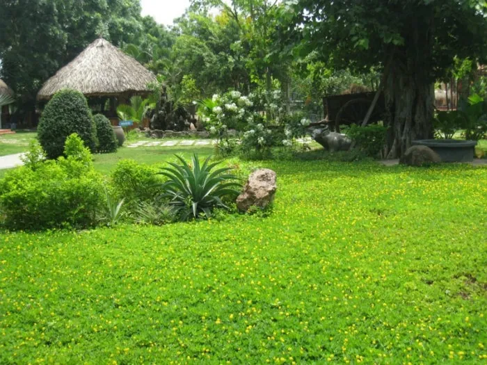 Hóc Môn có gì chơi