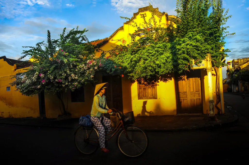 Hội An rực vàng trong ánh nắng Hội An rực vàng trong ánh nắng