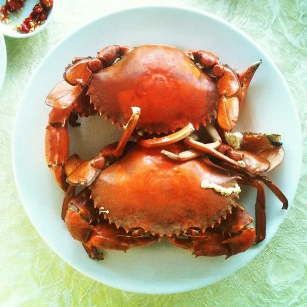 Hướng dẫn phượt Cần Giờ trong một ngày Hướng dẫn phượt Cần Giờ trong một ngày