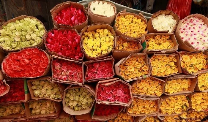 Khám phá 6 địa điểm chụp hình Tết đẹp nhất ở Sài Gòn
