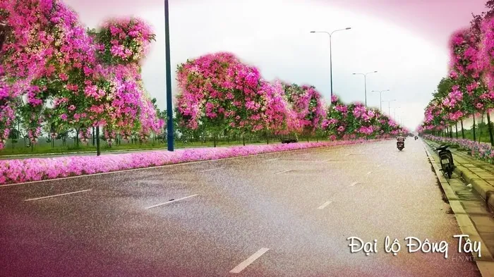Khám phá Sài Gòn qua lăng kính sắc màu của thế hệ trẻ Khám phá Sài Gòn qua lăng kính sắc màu của thế hệ trẻ