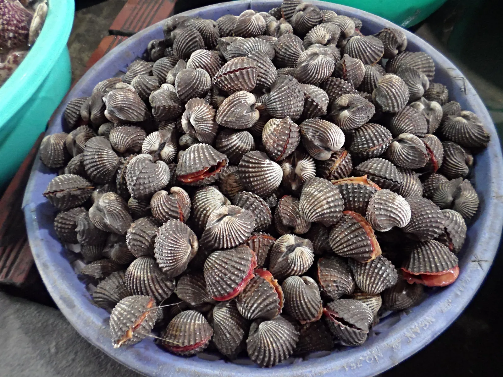 Kinh nghiệm ăn chơi ở Cần Giờ Kinh nghiệm ăn chơi ở Cần Giờ