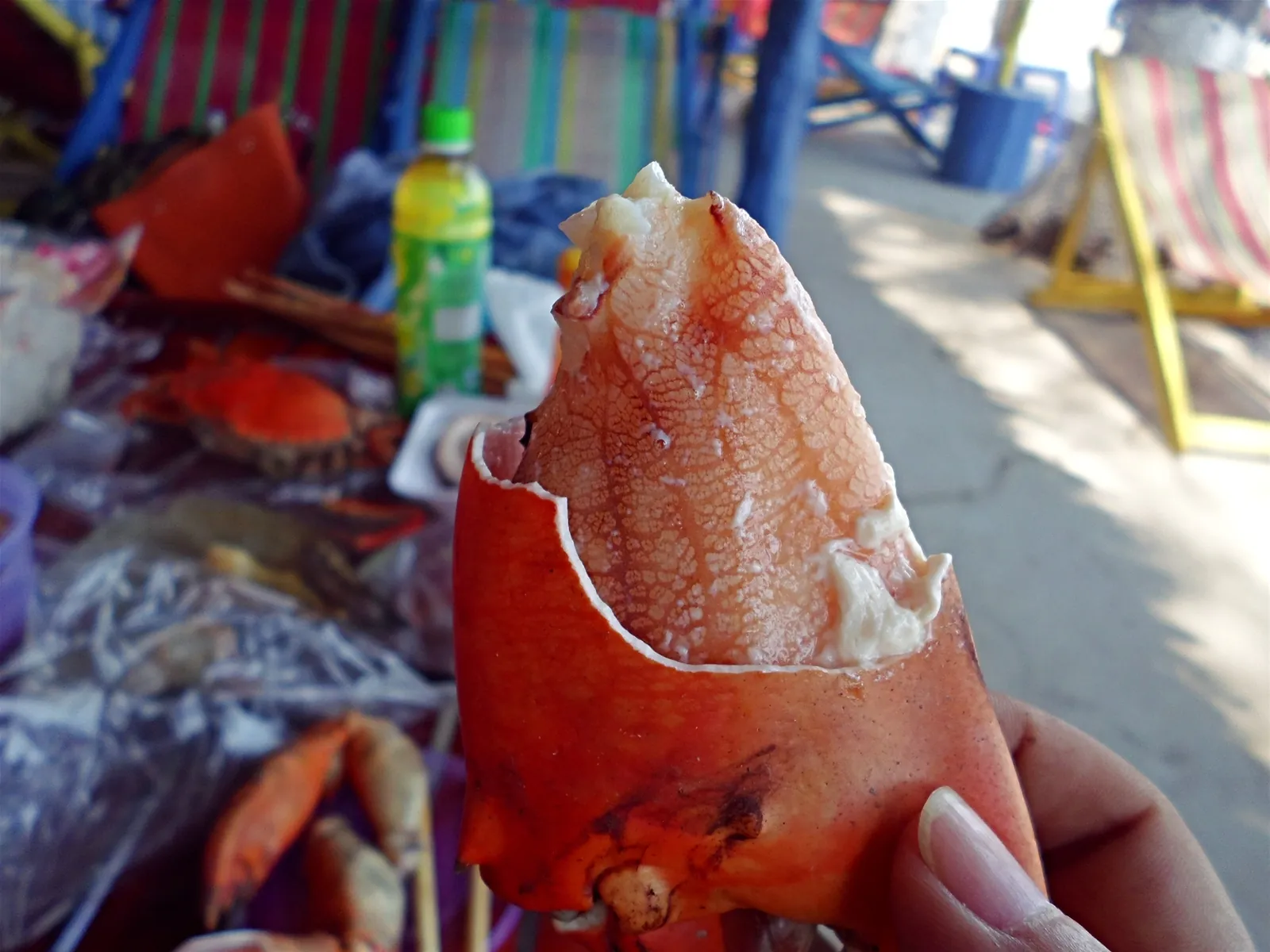 Kinh nghiệm ăn chơi ở Cần Giờ Kinh nghiệm ăn chơi ở Cần Giờ