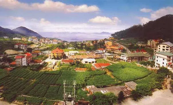 Kinh nghiệm ăn chơi ở Tam Đảo Kinh nghiệm ăn chơi ở Tam Đảo