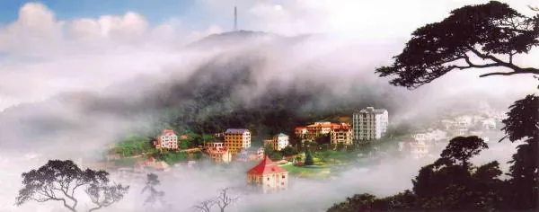 Kinh nghiệm ăn chơi ở Tam Đảo Kinh nghiệm ăn chơi ở Tam Đảo
