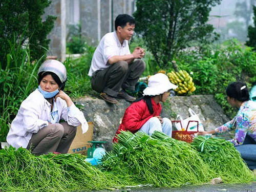 Kinh nghiệm ăn chơi ở Tam Đảo Kinh nghiệm ăn chơi ở Tam Đảo